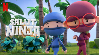 Salut Ninja (2021)